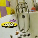 スパイダース スペース