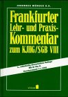Frankfurter Lehr- und Praxiskommentar zum KJHG / SGB VIII. Stand: 1.1.1999