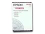 Epson Photo Paper Glossy, 13 x 19 Inches, 20 Sheets (S041143)