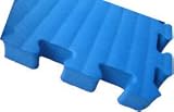 100 SQ Ft (1 inch) 24mm tatami, martial arts, mma, wrestling, grappling eva foam interlocking puzzle mats