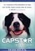 Pet Supplies : CAPSTAR Green for Dogs over 25 lbs(6 tablets)