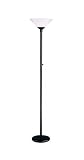 Adesso 7500 Aries Floor Lamp