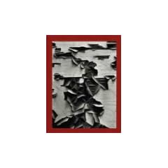 Aaron Siskind 100