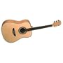 Brownsville MAG3 Acoustic Guitar