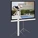 Elite Tripod 85" (1:1) Portable Pull Up Projector Screen (Case Color Black)