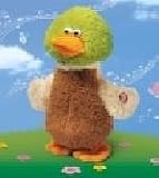Walkimg Squalking Quackles Duck