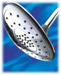 Waterpik Wall Mount Total Body Nickel Shower Massager