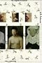 The Digital Evolution: Photography in the Electronic Age