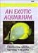 Coral Dreamscapes: An Exotic Aquarium