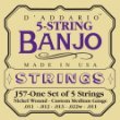 D'Addario Banjo Strings Set, Nickel Custom, Medium