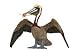 BROWN PELICAN by Safari, Ltd.