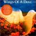 7dove-Wings of a Dove