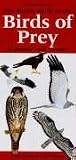 The Pocket Guide to the Birds of Prey of Britain and Europe (Pocket Guide)