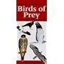 The Pocket Guide to the Birds of Prey of Britain and Europe