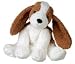 Sweet Byron Basset Hound