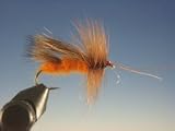Adult October Caddis
