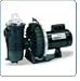 Pentair Challenger High Head 2.5 HP Pump Up-Rated