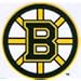 Boston Bruins Static Cling Decal