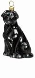 Black Lab