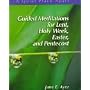 Guided Meditations for Lent, Holy Week, Easter, and Pentecost: Leader's Guide (Quiet Place Apart)