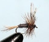 Adams Size: 16