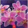 Zauberhafte Orchideen.