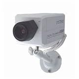 New-Indoor Dummy Camera w/LED - 200-DCIHL-LTC