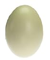 RHEA EGG