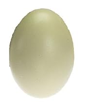 RHEA EGG