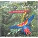 Sounds of the Earth: Birds In Rainforest