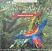 Sounds of the Earth: Birds In Rainforest