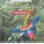 Sounds of the Earth: Birds In Rainforest
