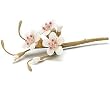 Sugared Cherry Blossom Spray