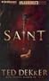 Saint (Paradise Series, Book 2) (The Books of History Chronicles)
