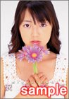 沢井美優 - 沢井美優カレンダー 2003 沢井美優 - 沢井美優カレンダー 2003