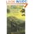 The Black Sun: The Alchemy and Art of Darkness (Carolyn and Ernest Fay Series in Analytical Psychology)