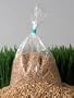 Certified Organic Hard Red Wheat- 10 Lbs- For Growing Wheatgrass to Juice, Sprouting Seed, Grinding to Make Flour & Bread, Food Storage & More
