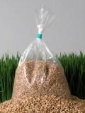 Certified Organic Wheatgrass Sprouting Seed - 5 lbs