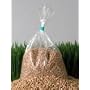 Certified Organic Wheatgrass Sprouting Seed - 5 lbs