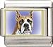 boxer36 - Clearly Charming Boxer Italian Charm