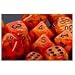 Chessex Dice: Polyhedral 7-Die Vortex Dice Set - Orange w/black