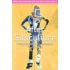 After Subculture: Crtitical Studies in Contemporary Youth Culture: Critical Studies in Contemporary Youth Culture