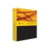 BACKUPEXEC SBS STANDARD 12 WIN ML CD BN13122469