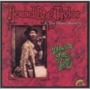 Click here to buy Beware of the Dog by Hound Dog Taylor .