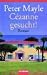 Cezanne gesucht! (Taschenbuch)