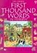 Books : The Usborne First Thousand Words in Hebrew: With Easy Pronunciation Guide (First Thousand Words)