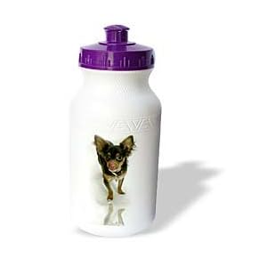 Dogs Chihuahua - Long Hair Chihuahua - Water Bottles