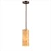 Forecast Lighting F5189 / F5104-19 Hudson Organic Modern Square Pendant in Onyx