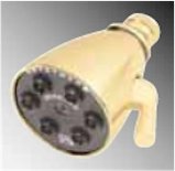 Speakman S-2252-AF-PBLBP Showerhead
