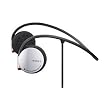 Sony MDR-AS30G Active Style Headphones (Silver)